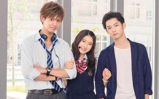 哥哥太爱我怎么办在线观看,在线观看解析，揭秘兄妹深情与成长烦恼